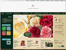 Tablet Screenshot of noack-rosen.de